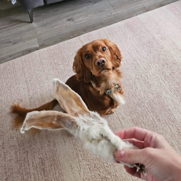 Rabbit Ears with Fur - Image 2