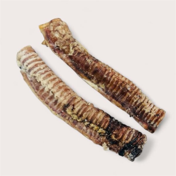Beef Trachea