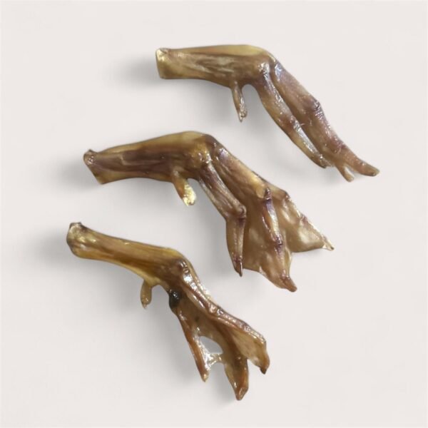 Duck Feet