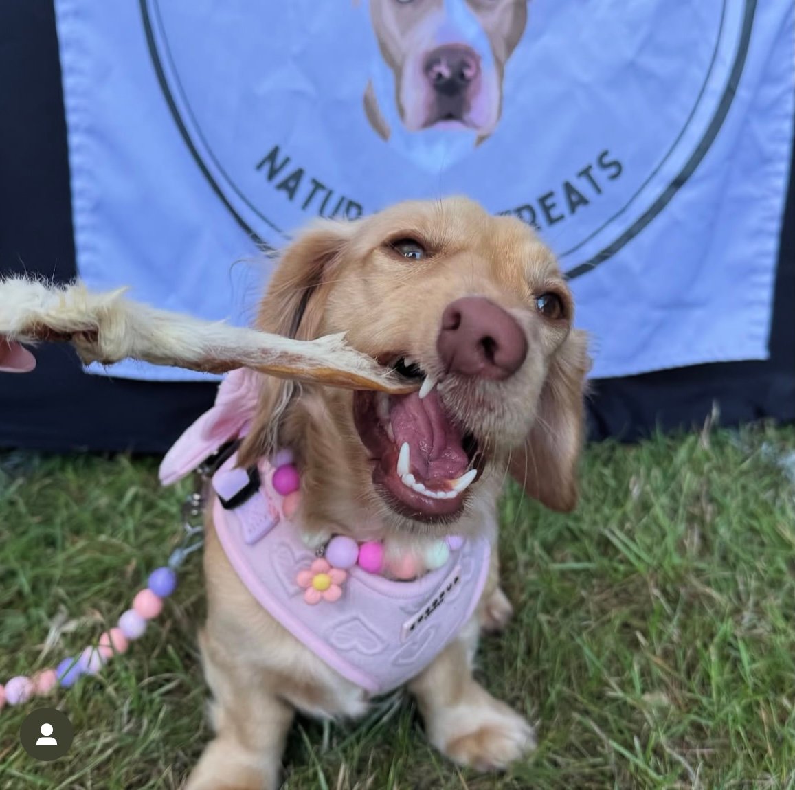 Rabbit Ears with Fur - Image 2