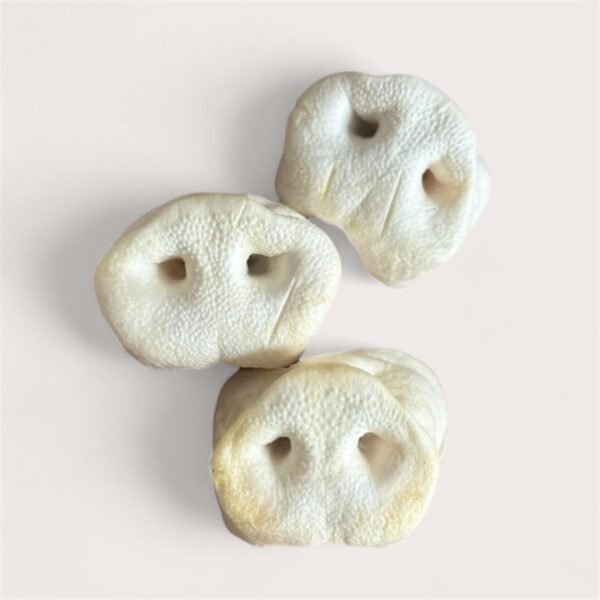 Puffed Pig Snout