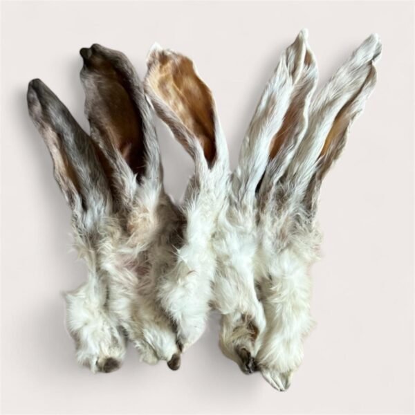 Rabbit Ears with Fur