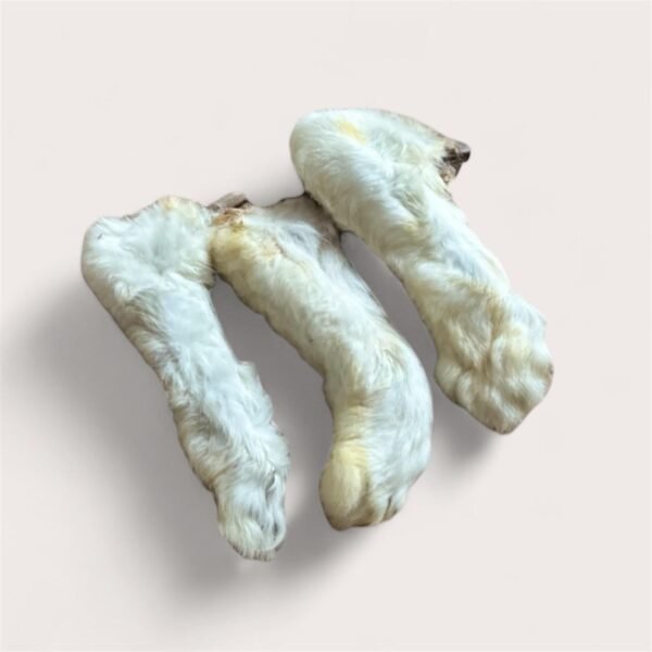 Rabbit Feet with Fur
