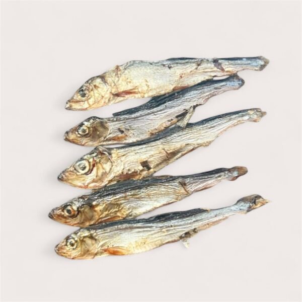 Sprats