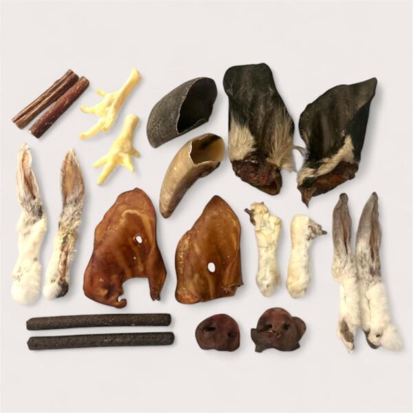 Two Dog Taster Box