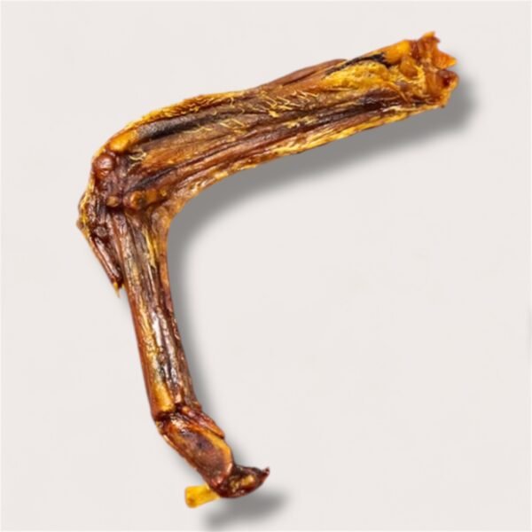 Duck Wing