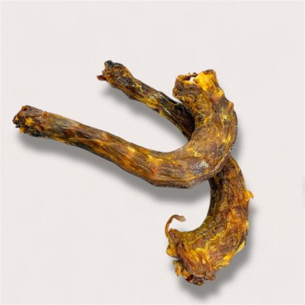 Turkey Neck
