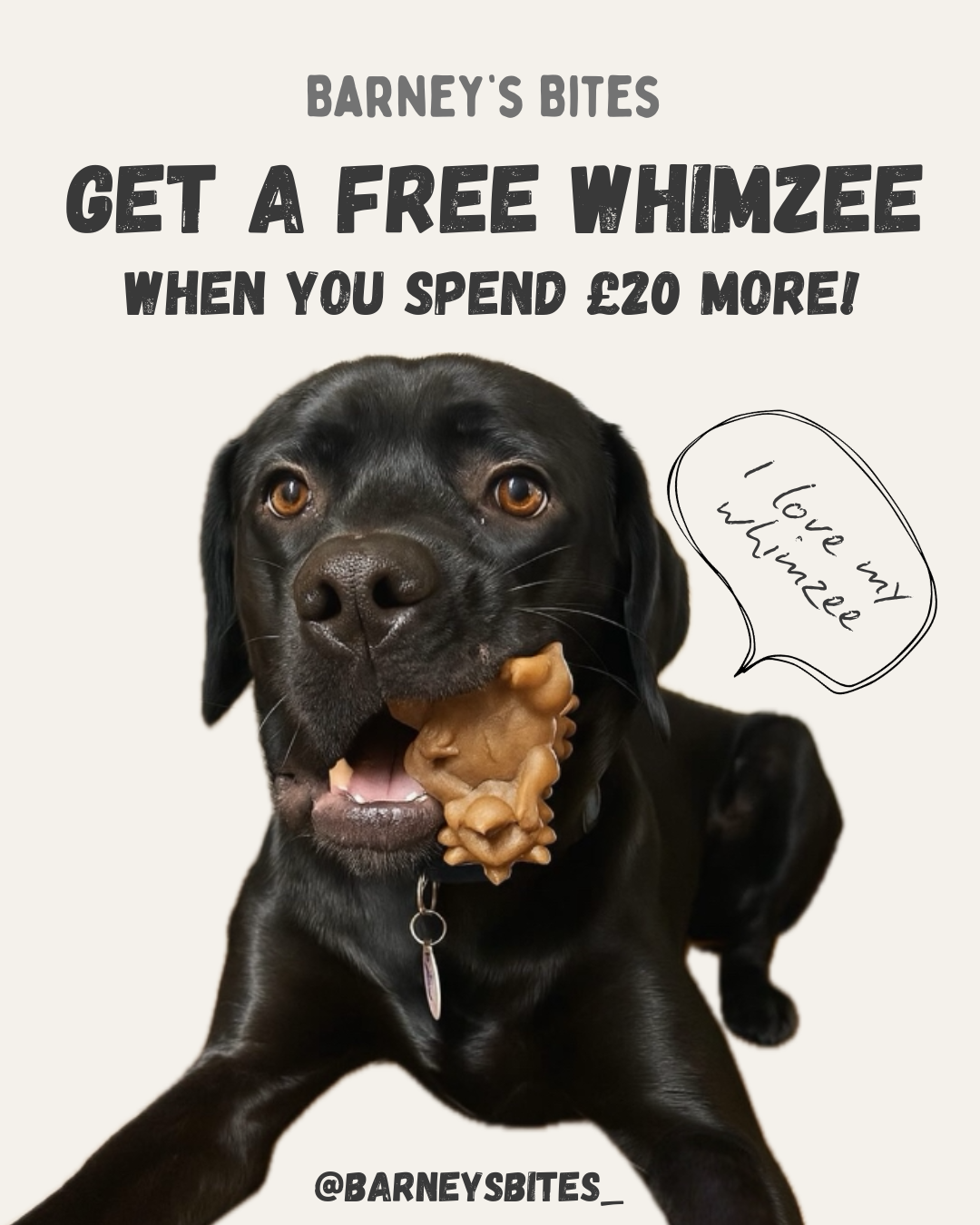 Whimzee
