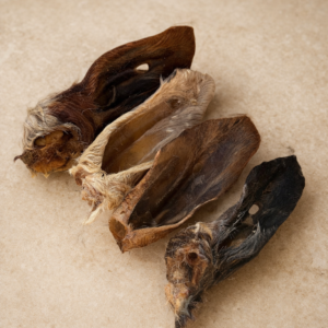 Hairy Lamb Ears