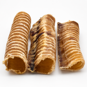 Buffalo Trachea 15cm